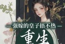 强嫁的皇子捂不热，重生她不要了热门小说(沈安安)在线阅读无弹窗-小智文学