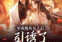踹掉言情男主，勾搭男频帝王精彩章节阅读(沈毓灵权明赫)免费阅读大结局-小智文学