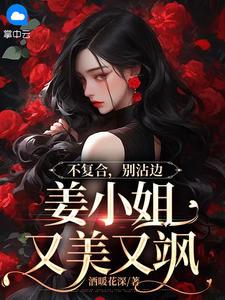 小说不复合，别沾边，姜小姐又美又飒（顾衍泽苏辞心）最新章节在哪看