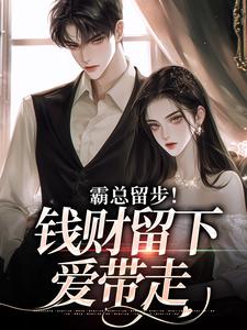 小说霸总留步！钱财留下爱带走主角白挽盛云客免费阅读