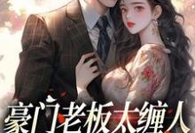 小说沈雾徐宴行豪门老板太缠人，为她折腰为她疯（沈雾徐宴行）最新章节在哪看-小智文学