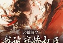 大婚前夕,我被病娇权臣强取豪夺了(裴砚忱姜映晚)最新章节免费阅读-小智文学