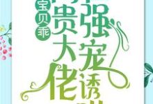 宝贝乖：高贵大佬在强宠诱哄热门小说( 简以宁陆怀瑾)在线阅读无弹窗-小智文学