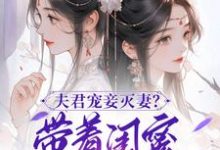 夫君宠妾灭妻？带着闺蜜一起和离热门小说(上官钰林清玥)在线阅读无弹窗-小智文学