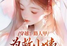 穿越：路人甲为救小姨翻身变女主大结局，青雪小说无广告阅读-小智文学