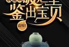 震惊！我能从破烂里鉴出宝贝！（陆飞）完结版免费阅读-小智文学