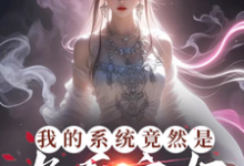 求助这本我的系统竟然是九天玄女小说在哪里可以看完结版-小智文学