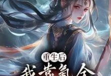 重生后，我靠氪金云养未来女帝（沈云）最新章节免费阅读-小智文学