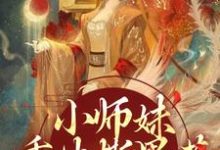 小师妹重生撕黑莲，炸翻宗门免费阅读(凤锦许墨)小说免费读最新章节-小智文学