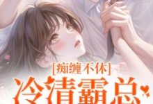 痴缠不休：冷清霸总重拾旧爱热门小说(沈鸯周越)在线阅读无弹窗-小智文学