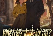 求助这本刚结婚丈夫就溜？姐真不吃人！小说在哪里可以看完结版-小智文学