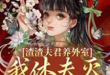 渣渣夫君养外室，我休夫灭妾另高嫁最新章节渣渣夫君养外室，我休夫灭妾另高嫁在线阅读-小智文学