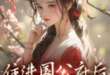 小说住进国公府后，我成了香饽饽！（沈青梨魏缜）最新章节在哪看-小智文学