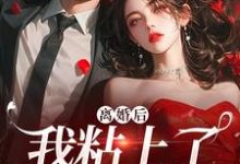 求助这本离婚后，我粘上了那位大佬小说在哪里可以看完结版-小智文学