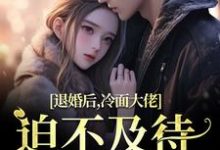 退婚后，冷面大佬迫不及待要娶我无弹窗黎九霍骁最新章节列表-小智文学