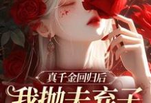真千金回归后，我抛夫弃子独自美丽精彩章节在线免费阅读（苏黎陆敬煊）-小智文学