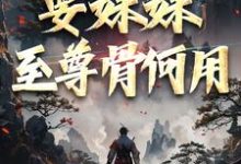 系统在手！要妹妹至尊骨何用小说最新章节在哪里可以免费看-小智文学