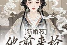 (全文)新婚夜，他前来抢夺我的心热门小说排行榜，新婚夜，他前来抢夺我的心温棠谢云州全章小说阅读-小智文学