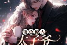 夜色撩人，太子爷为她乱了心楚璃徐砚周最新完结小说，夜色撩人，太子爷为她乱了心全本免费在线阅读-小智文学