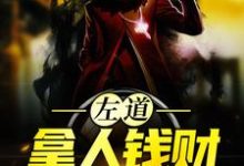 (全文)左道:拿人钱财,替人办事完结小说推荐贺安全本书籍阅读-小智文学