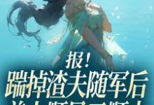 (全文)报！踹掉渣夫随军后美人顺风又顺水（黎漾顾淮深）全本书籍阅读报！踹掉渣夫随军后美人顺风又顺水免费小说全本-小智文学