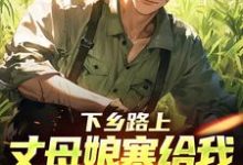 (全文)下乡路上，丈母娘塞给我一车嫁妆(林辰宋雨)全本免费在线阅读-小智文学