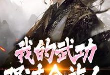 (全文)完了！我的武功强过全族人（林枫苏清雪）全本书籍阅读完了！我的武功强过全族人免费小说全本-小智文学