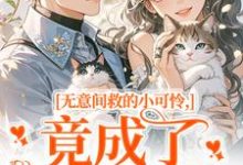 无意间救的小可怜,竟成了京都大佬(晏离乔娜)全章小说阅读-小智文学
