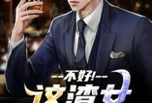(全文)不好！这渣女要虐死了（顾迟云云晚晚）试读更新章节不好！这渣女要虐死了免费小说-小智文学
