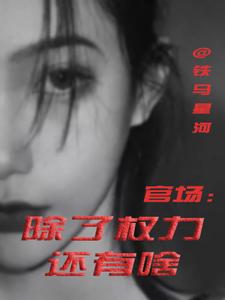 官场：除了权力还有啥丁俊丰贺征完结小说推荐官场：除了权力还有啥全本书籍阅读