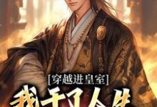 (全文)穿越进皇室，我干了人生四大美事完结小说推荐苏离凰九天全本书籍阅读-小智文学
