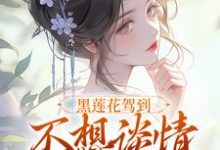 黑莲花驾到，不想谈情只想晋升推荐完结小说黑莲花驾到，不想谈情只想晋升(宁司寒林妩)免费小说全本-小智文学