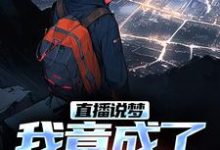 直播说梦，我竟成了预言家申媛最新完结小说，直播说梦，我竟成了预言家全本免费在线阅读-小智文学