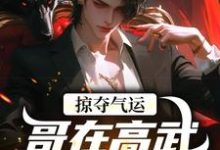 掠夺气运，哥在高武世界赢麻了最新完结小说掠夺气运，哥在高武世界赢麻了沈无萧免费小说-小智文学