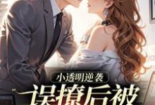 小透明逆袭：误撩后被大佬宠上天最新章节阅读小透明逆袭：误撩后被大佬宠上天(许惟昭方肃礼)试读更新章节-小智文学