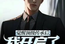 觉醒顶级传承后，我开启了无敌之路完整版小说觉醒顶级传承后，我开启了无敌之路(张奕李小曼)全章小说阅读-小智文学