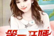 第一狂婿最新完结小说第一狂婿林枫免费小说-小智文学