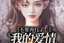 (全文)不要再打了！我的爱情我自己选完结小说推荐裴撤苏暖全本书籍阅读-小智文学