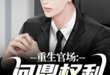 重生官场：问鼎权利之巅完整版小说，重生官场：问鼎权利之巅林峰刘艳茹全章小说阅读-小智文学
