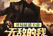 叶凌天叶小雨开局证道天帝，无敌的我在地球乱杀全本免费在线阅读-小智文学