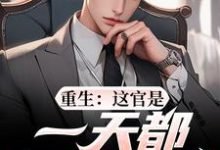 重生:这官是一天都不想当了梁惟石唐欣怡完结小说推荐,重生:这官是一天都不想当了全章小说阅读-小智文学