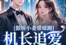 傲娇小妻带球跑，机长追爱不停歇推荐完结小说傲娇小妻带球跑，机长追爱不停歇(顾予琛徐歆薇)免费小说全本-小智文学