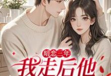 暗恋三年，我走后他怎么疯批了（沈知禾周砚之）全本书籍阅读暗恋三年，我走后他怎么疯批了完整版小说-小智文学