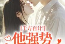 千方百计！他强势夺我闪婚南昭沙赫免费小说千方百计！他强势夺我闪婚推荐完结小说-小智文学