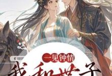 (全文)一见钟情,我和世子天生一对(沈如风苏云锦)全本免费在线阅读-小智文学