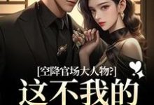 空降官场大人物？这不我的裙下臣吗（顾杳周政良）全章小说阅读-小智文学