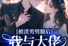 (全文)被渣男劈腿后，我与大佬领证生娃了（容君珩阮芷）全本书籍阅读被渣男劈腿后，我与大佬领证生娃了免费小说全本-小智文学