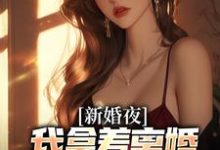 新婚夜，我拿着离婚协议黯然离场完整版小说，新婚夜，我拿着离婚协议黯然离场叶修远白若雪全章小说阅读-小智文学