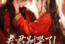 夫君别哭了!我来替你虐渣最新完结小说夫君别哭了!我来替你虐渣沈婉宁韩云泽免费小说-小智文学