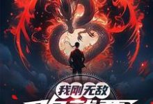 我刚无敌，你就要跟我退婚？完整版小说我刚无敌，你就要跟我退婚？(苏阳)全章小说阅读-小智文学
